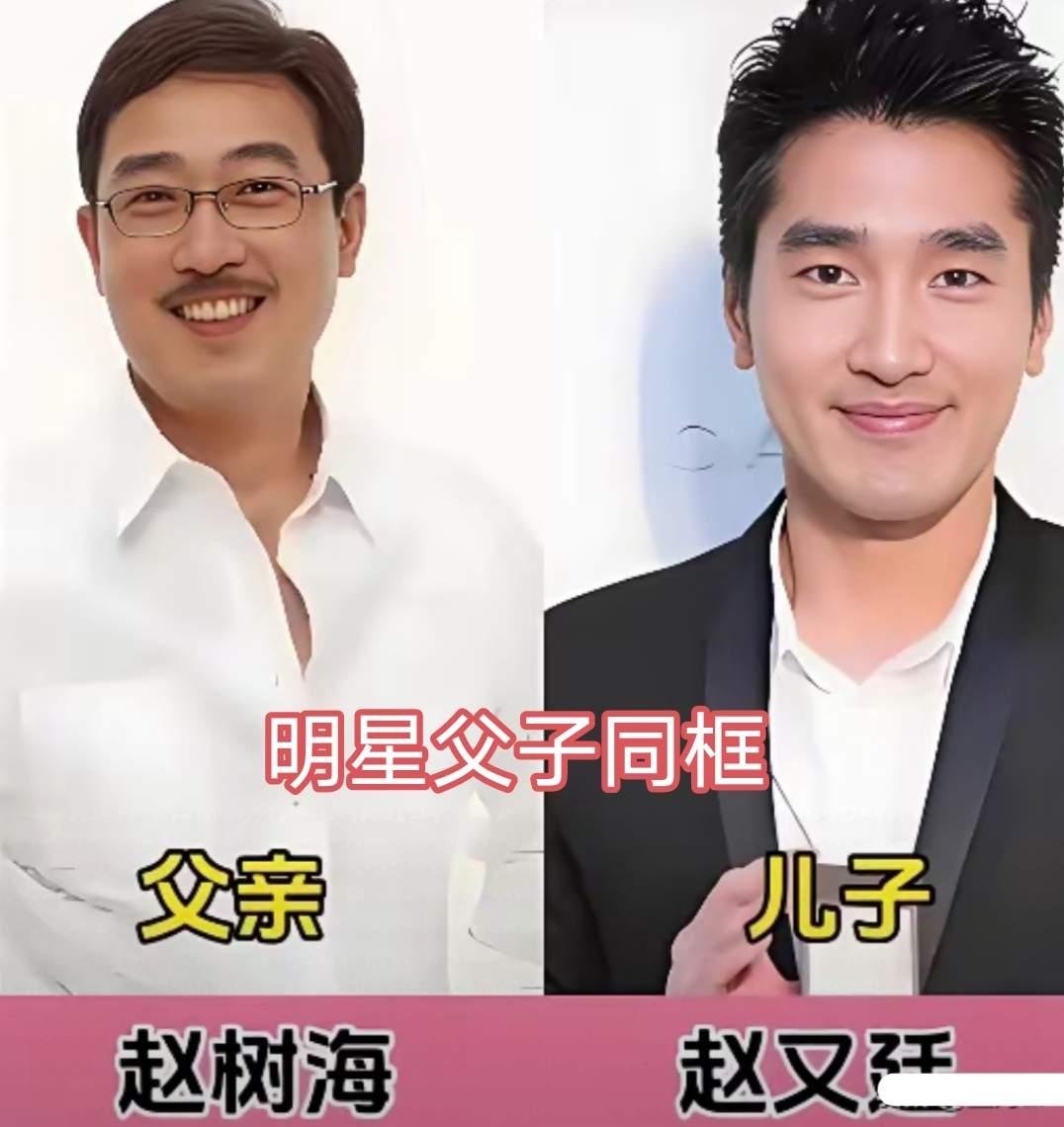盘点几组明星父子颜值对照，谢霆锋承袭谢贤酷感，吴尊父子复刻式长相，一众男星样貌都
