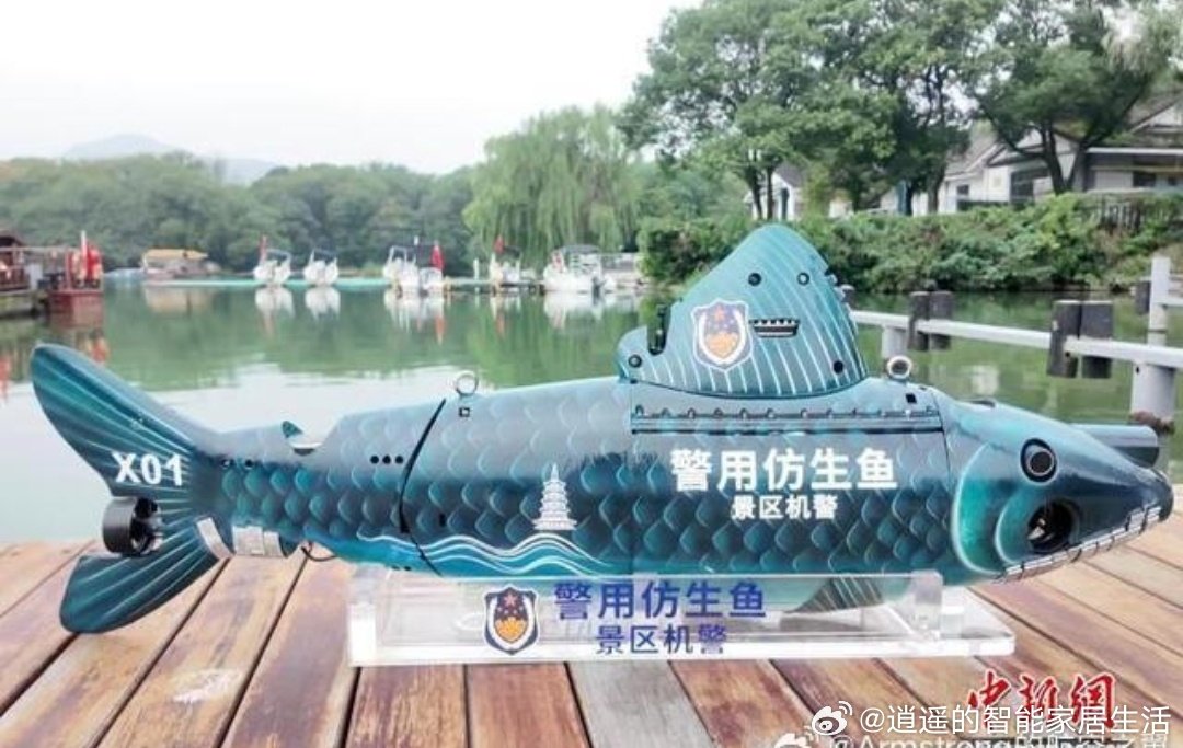 #西湖仿生机器鱼正式上岗#西湖捞哥的接班人来了，是个智能机器鱼啊！​