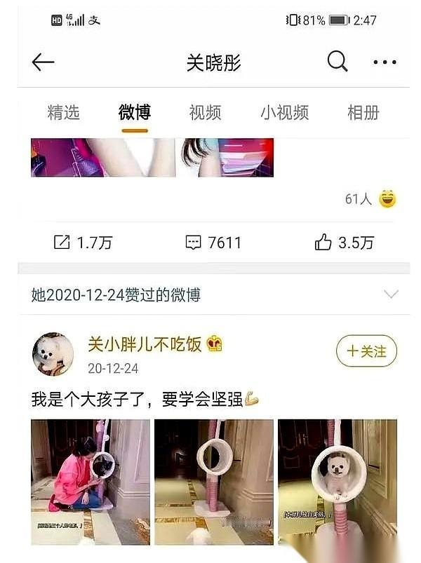 关晓彤几年前那些微博，现在回头看，字字都像在喊救命。她那个叫“关小胖儿不吃饭”