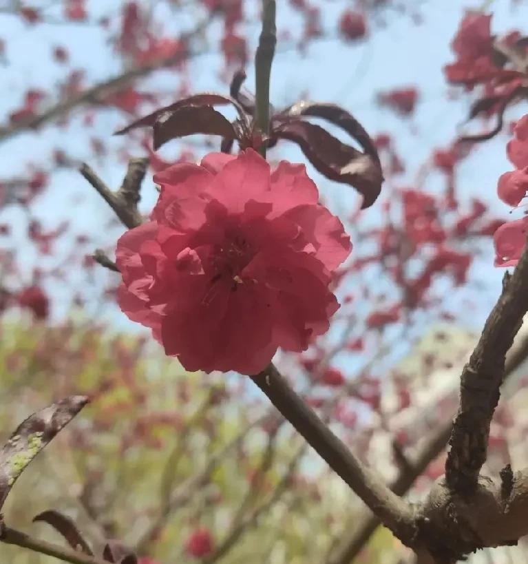 活到半百，我现在最后悔的事情有三件：一，没能上个好大学，高中毕业，高考我的分数