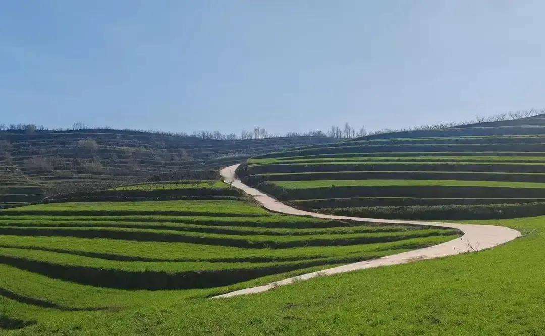 宝鸡钓渭镇东洼村那条破山路被几个骑友拍成仙境，我上周六也跟风踩了四十公里。导航