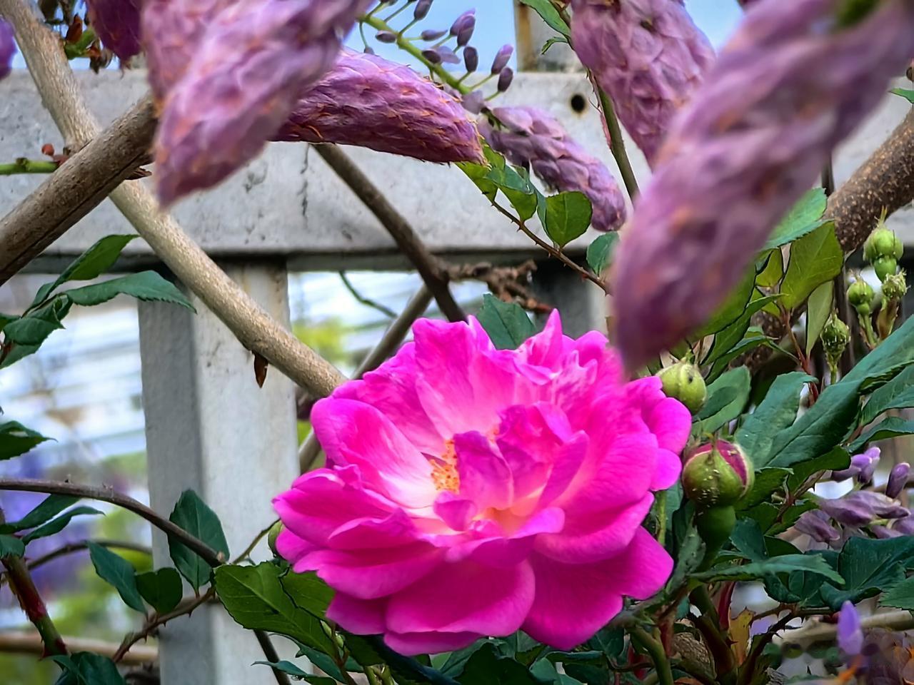 夏季是心梗高发季，避开身边隐藏诱因进入夏季以来，高温天气越来越多，这是心脑血