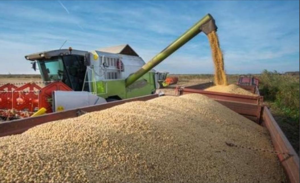 美国大豆惨遭退货，中国一招破局，全球供应链巨变，每年省下千亿进口开销!