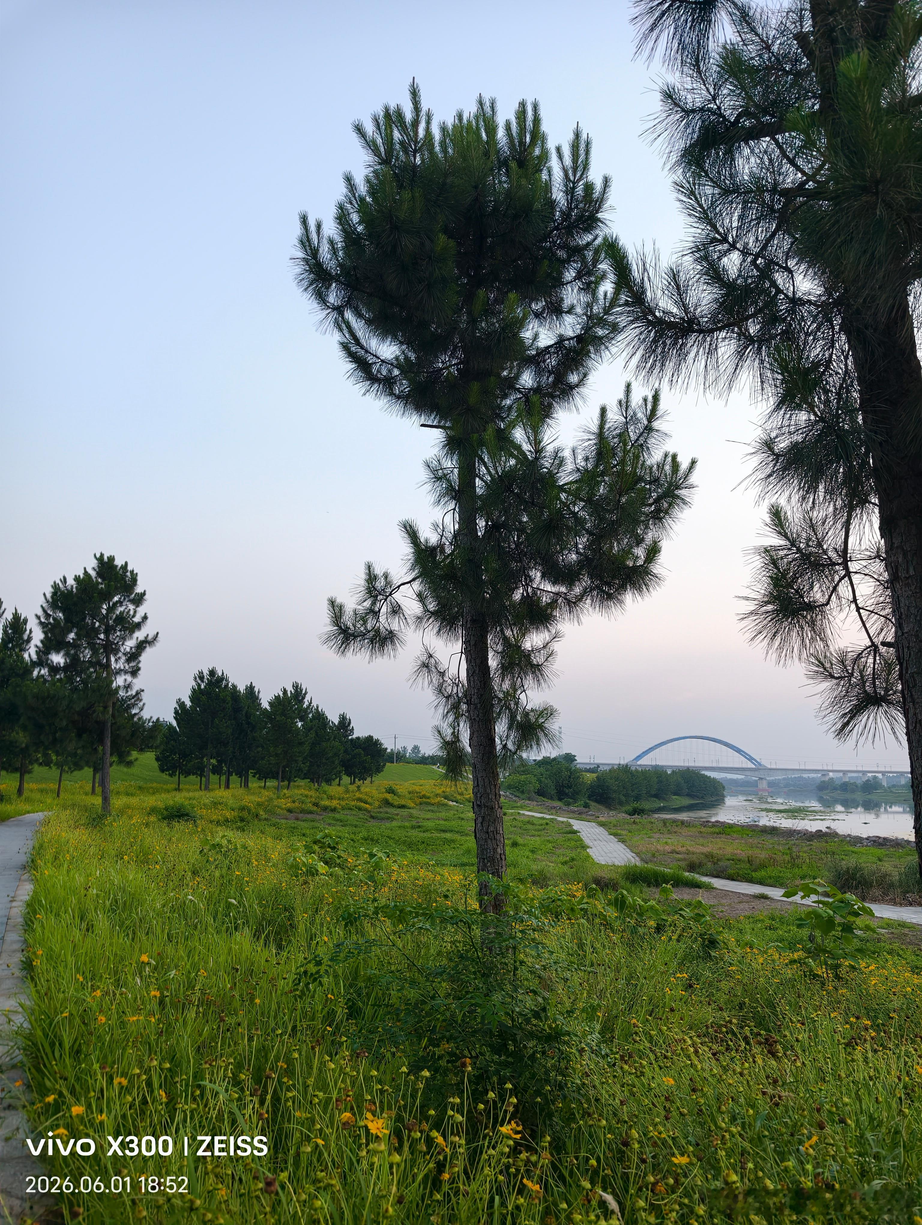 突然发现，这里落日余晖的风景好美呀