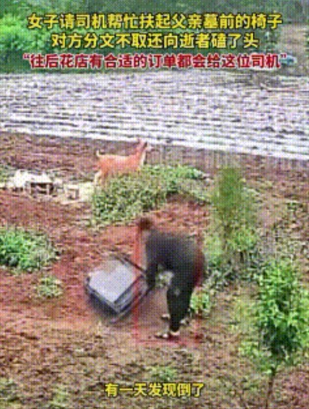 山东临沂，一女子发现父亲墓前的椅子倒了，自己又没时间回去，也没法让邻居去扶，于是