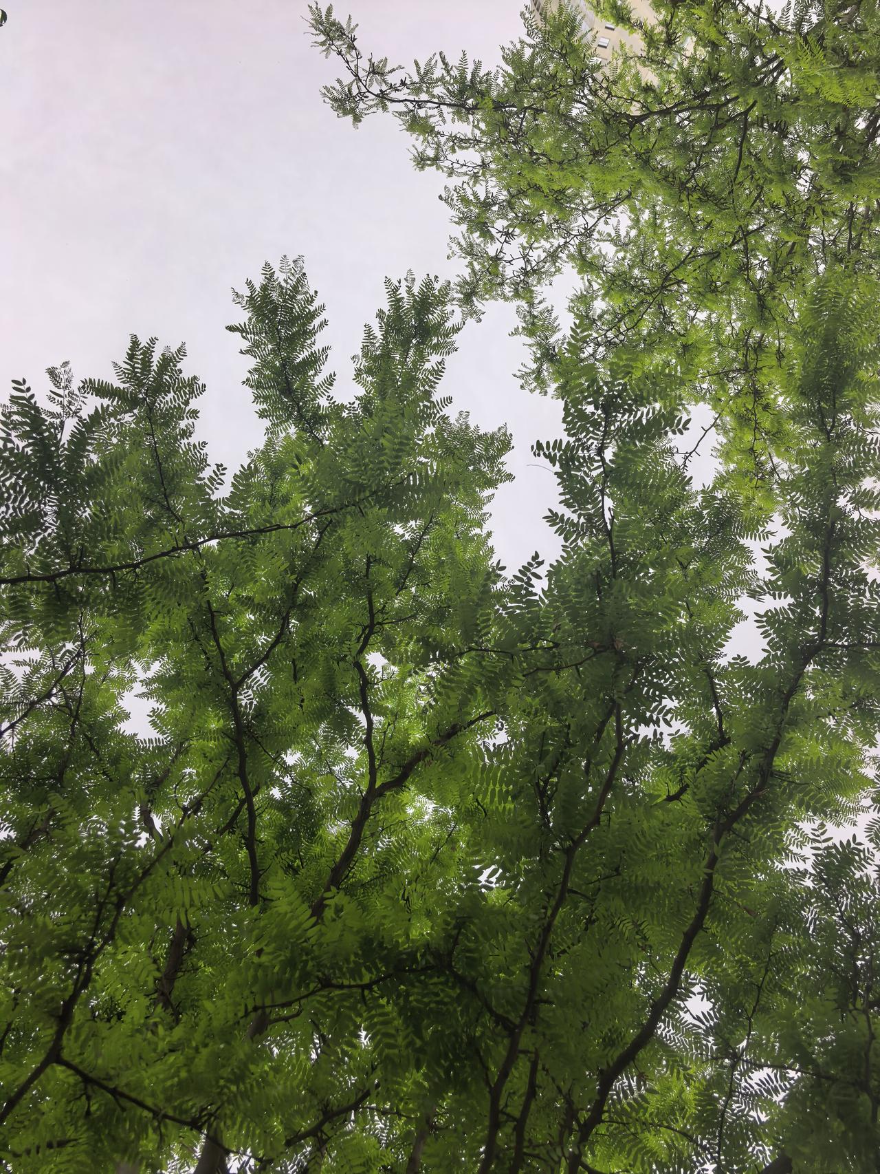 儿子：爸，这次回家听到你总咳嗽，好好注意身体，少抽点烟。老爸：儿子长大了，老爸很