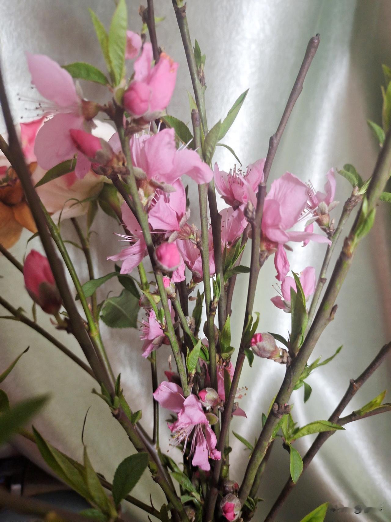 你们家孩子回来会被催起床吗？为什么老一辈子总是看不惯年轻人睡懒觉？其本质就是