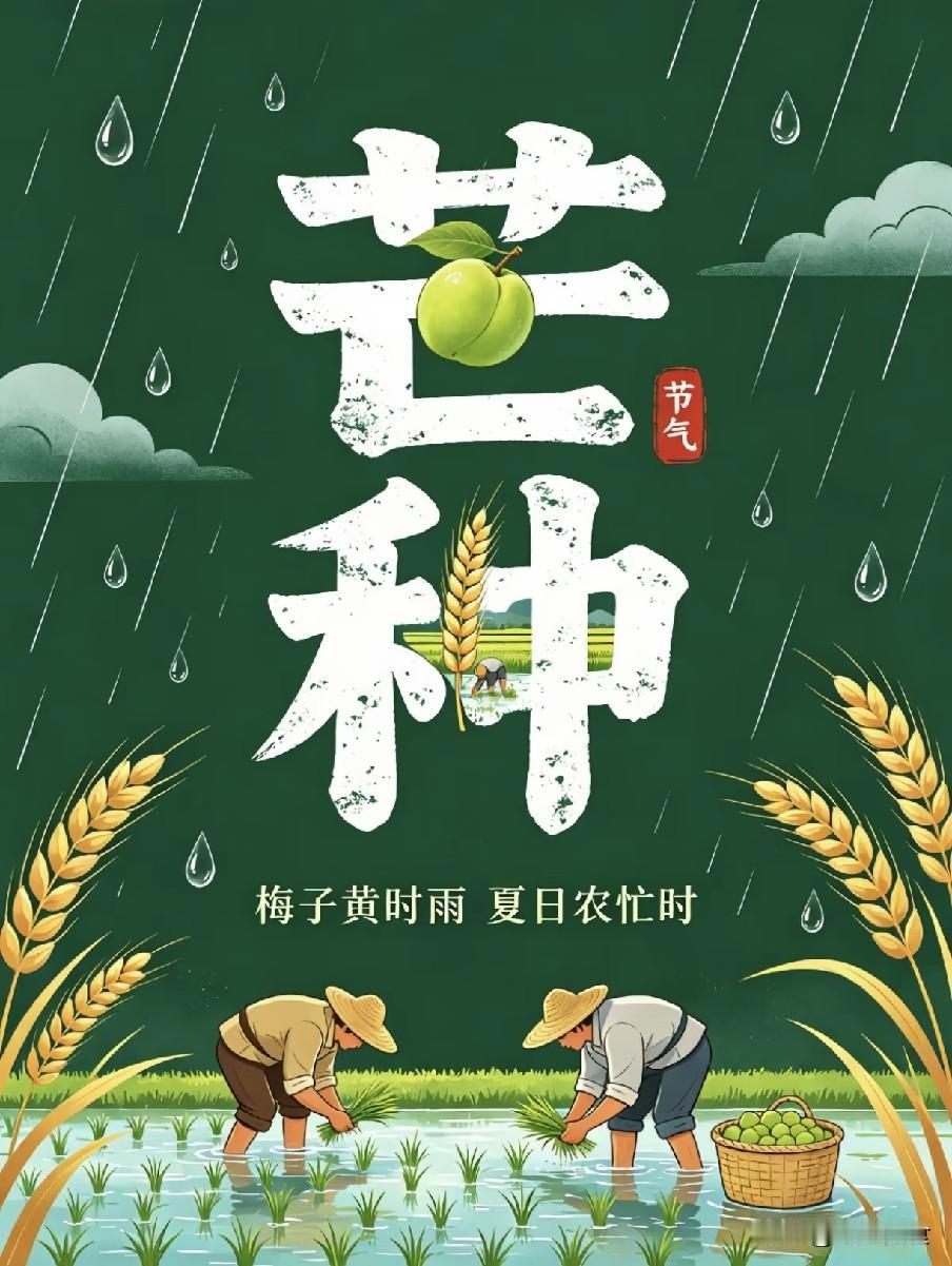 不是迷信！明日芒种，3事别犯了忌讳：1不晚、2不洗、3不喝陆游诗句勾勒出芒