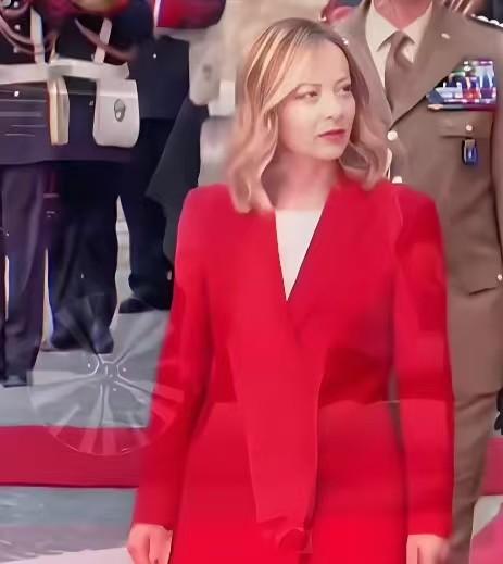 欧洲国家中，当属意大利最为聪明，不仅没派兵去格陵兰岛，而且还嘲讽欧洲各国派兵：你