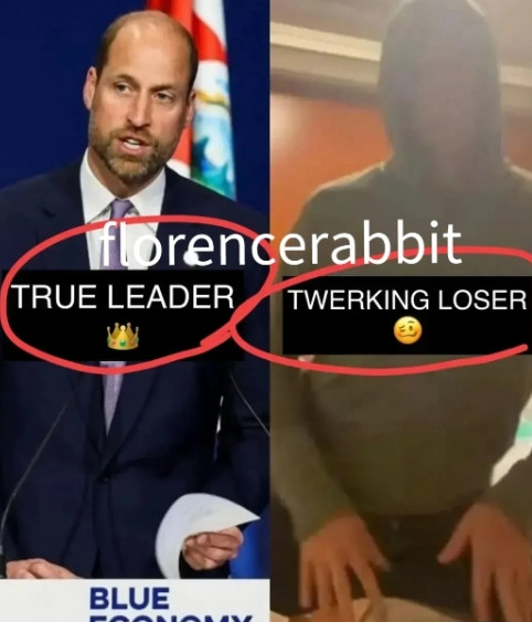 威廉哈里之间的差距越来越大，虽然他们的生活曾经如此相似。当威尔士亲王与各国领导人