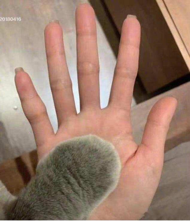 太可爱了吧，好治愈！