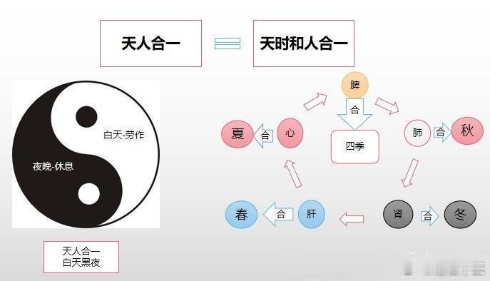 日月星辰的变化和人体的关系；天人相应；人体的生物节律不仅受太阳的影响，而且还受月