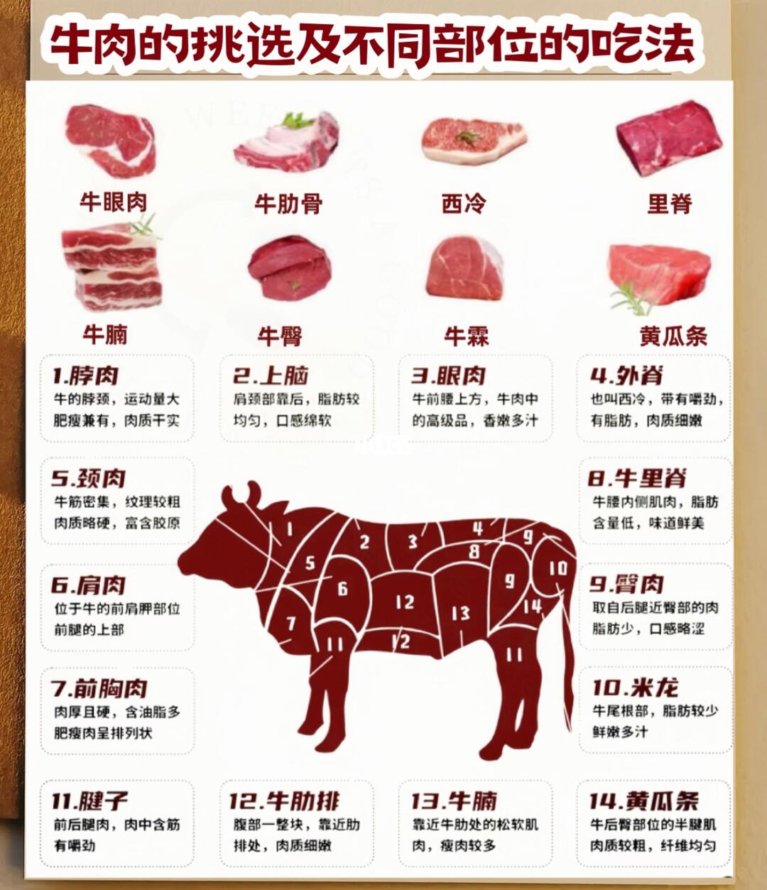 🍖牛肉不同部位吃法大揭秘，吃对才够味！🍖 宝子们，牛肉部位学问大...