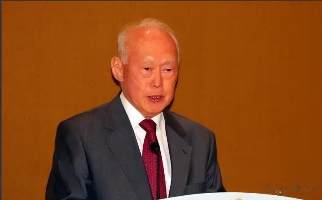 新加坡作为一个华人国家为什么排华却对日本友善？5月31日，新加坡“香会”期间，
