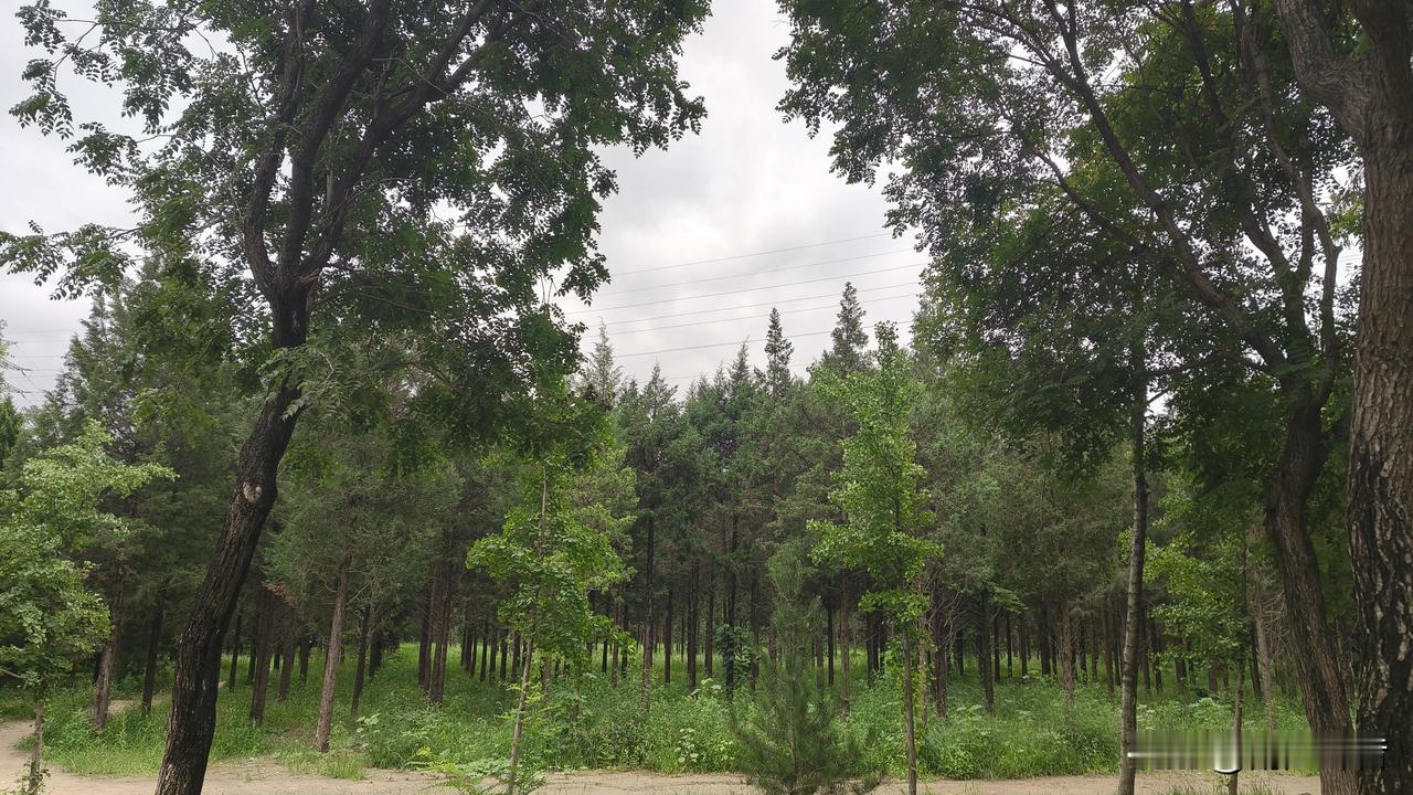 自带福运的人，往往都有这十个特征:所谓的福运从来不是天生的眉眼长相，是长年