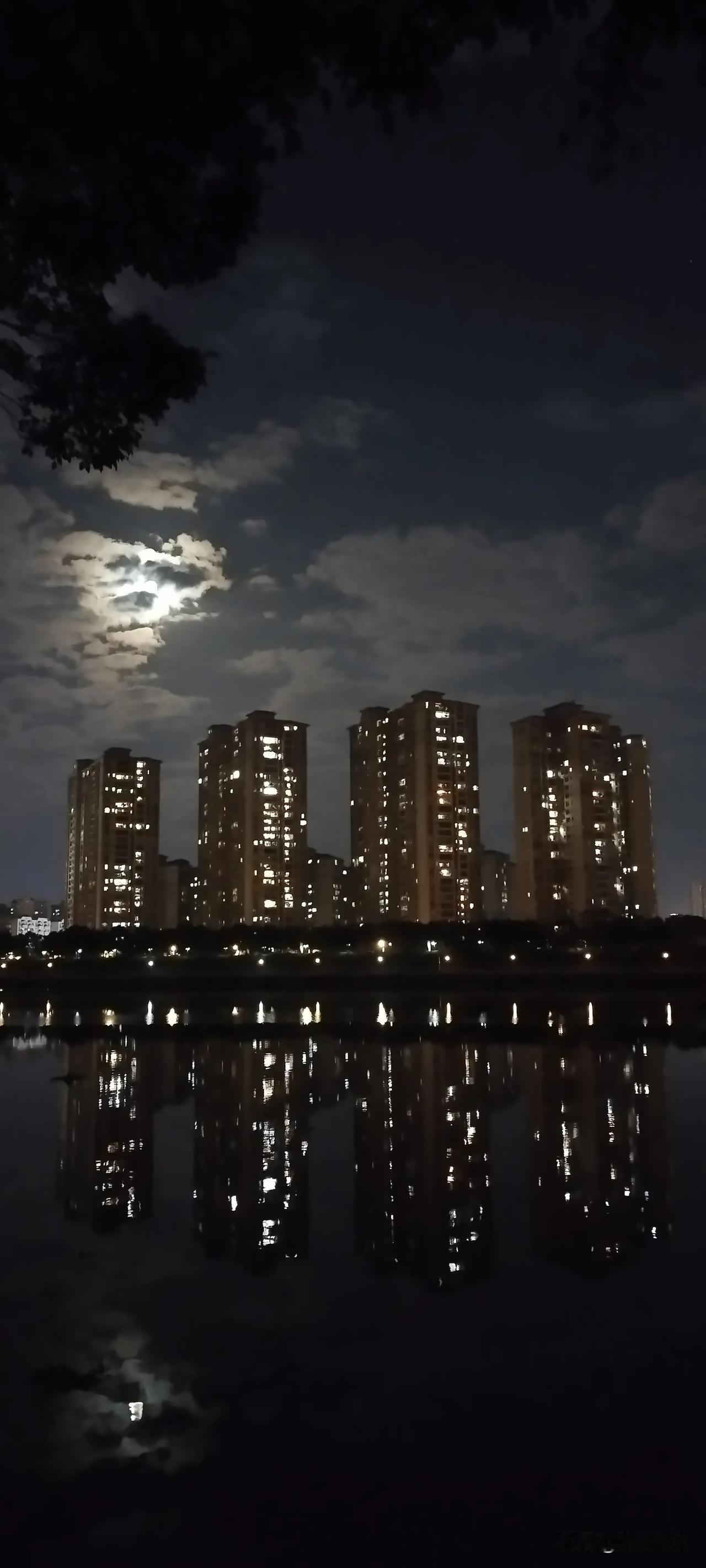 夜幕下的城市，灯火阑珊，宁静如水。惠州