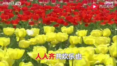 电视剧迎春花