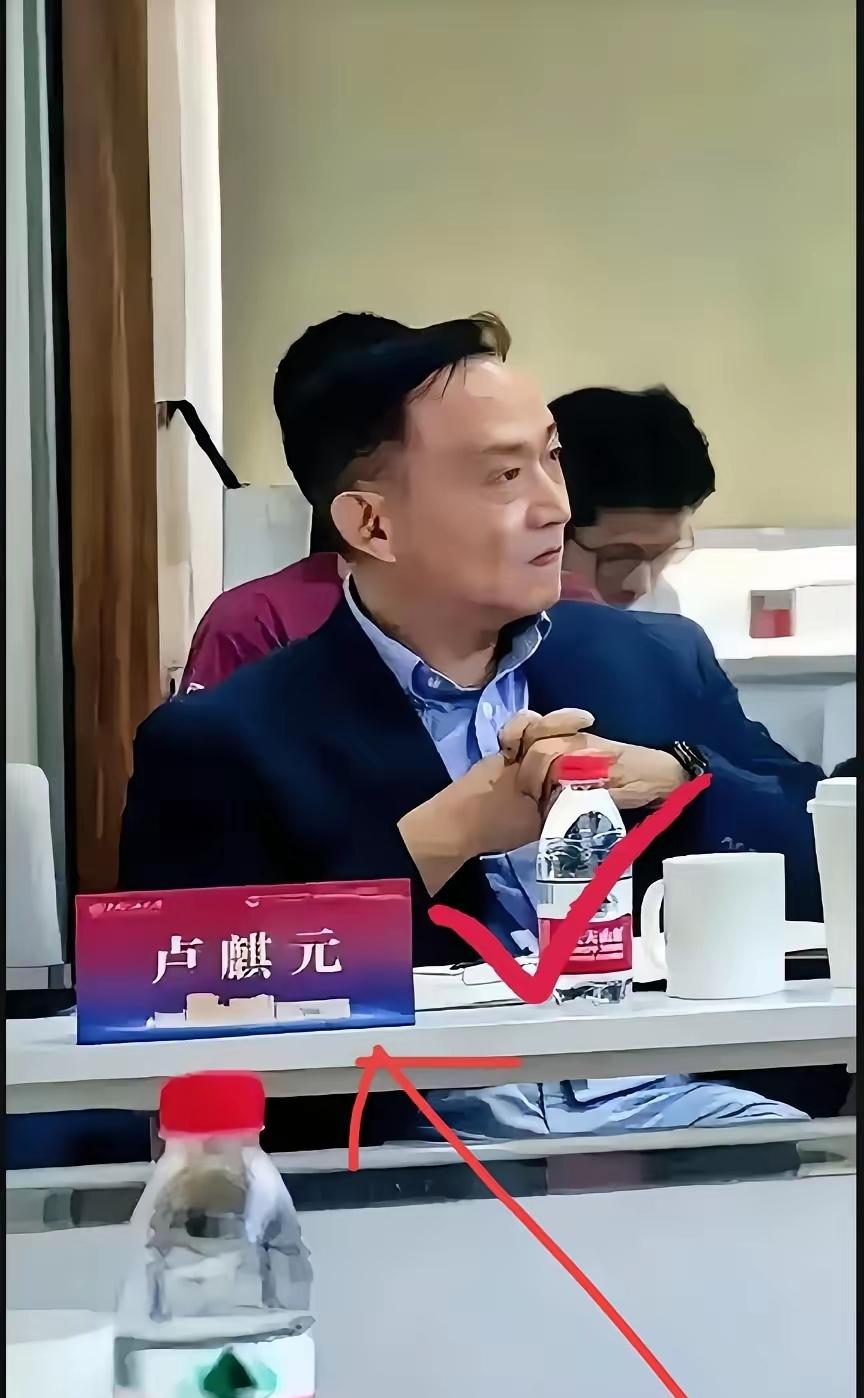 卢麒元这桩事，越想越觉得憋屈。他挖到经济疲软的根源是“走资”，戳中了利益集团的痛