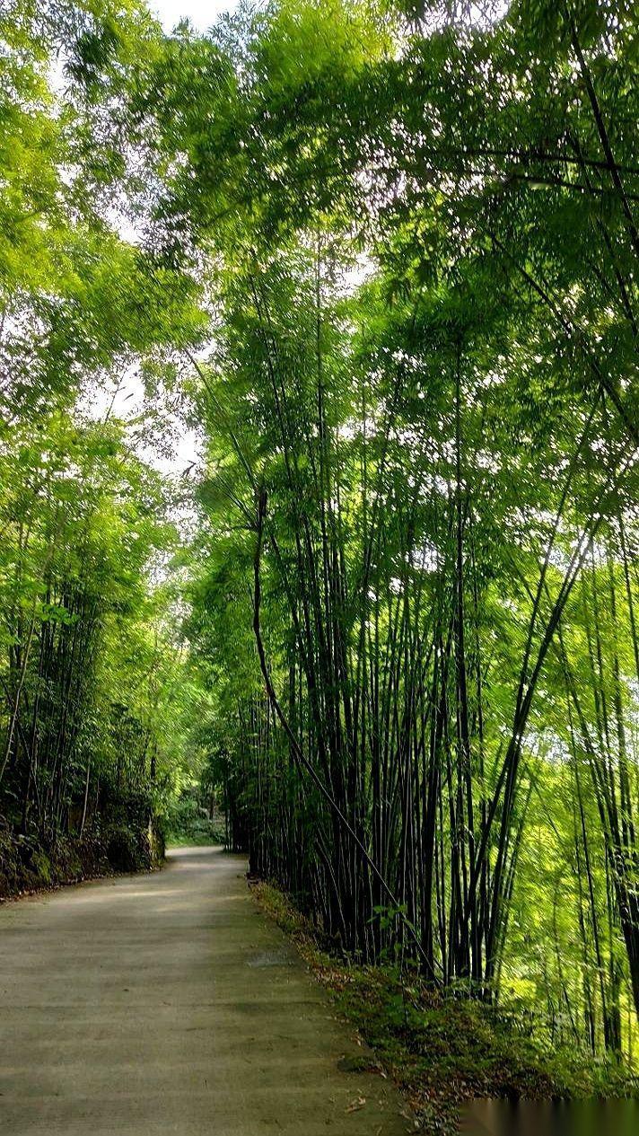过年回家，老婆当着一屋子亲戚的面，云淡风轻地报了个数字：“在上海当保姆，一年也就