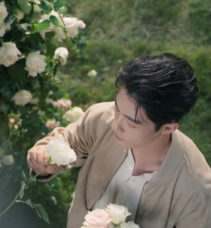 肖战重忆玫瑰绮梦肖战自由如诗优雅似梦肖战重忆玫瑰绮梦，肖战自由如诗，优雅似梦