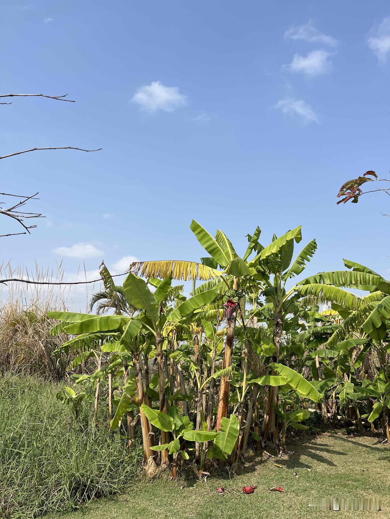 《资治通鉴》：欺负你的人，其实比你惨多了我以前有个邻居，天天欺负人。对门
