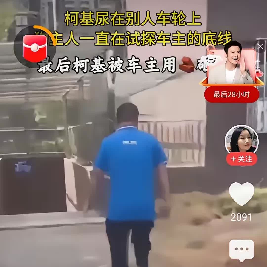 一场因狗尿引发的冲突让人看得又气又无奈。女子遛狗时狗在车胎上撒尿，车主要求立即擦