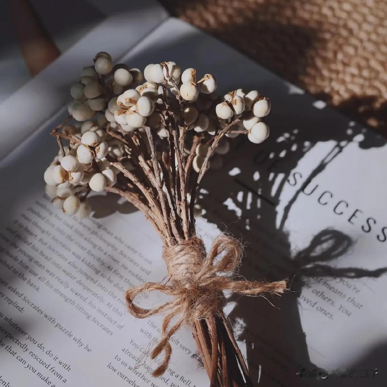 谁能想到？只是想做个胃镜检查，却被建议先做心脏手术，最后人没了……60岁阿