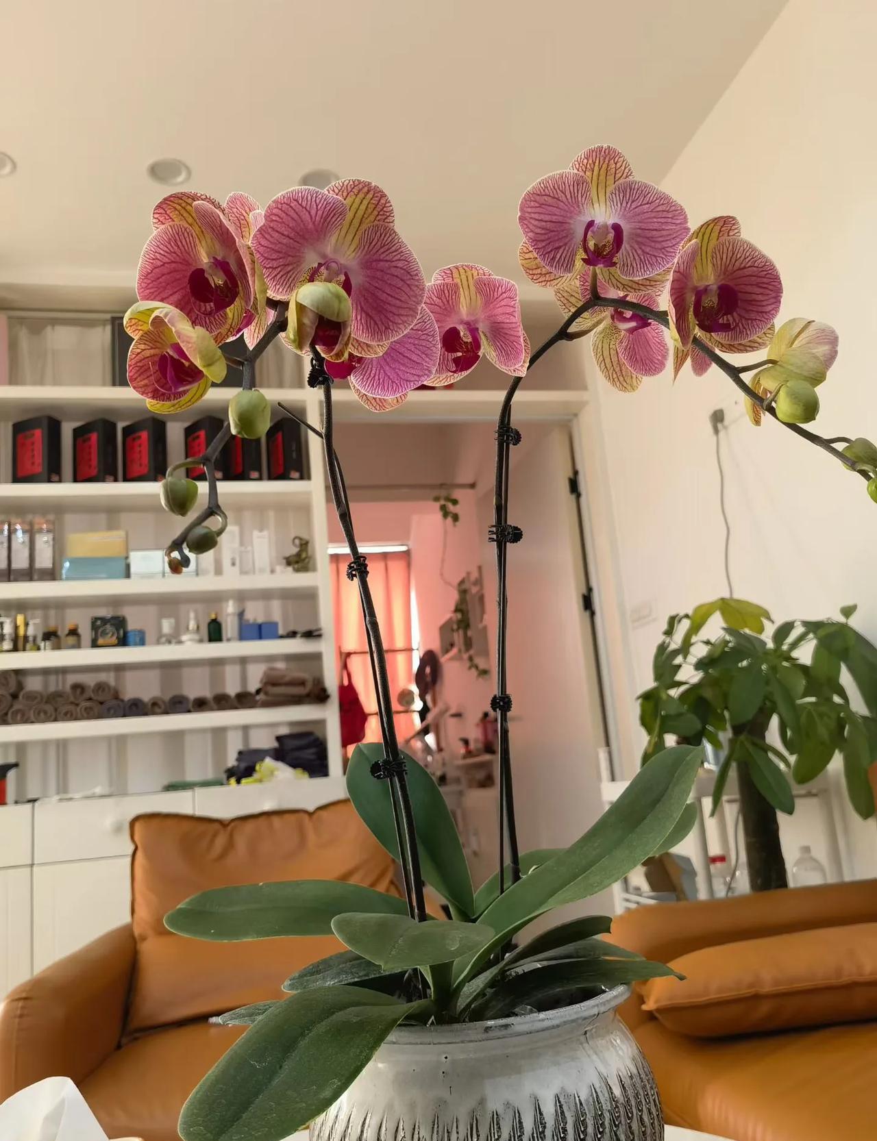 我刚看到一份最新的国民体质监测报告，简直想笑。报告说咱们18-44岁男性平均身