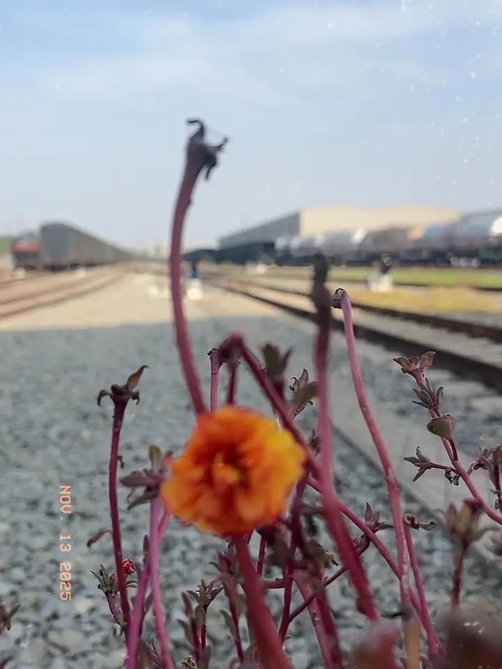 今天算了笔账，后背直接冒冷汗——52岁活到70岁只剩18年，活到80也才28年