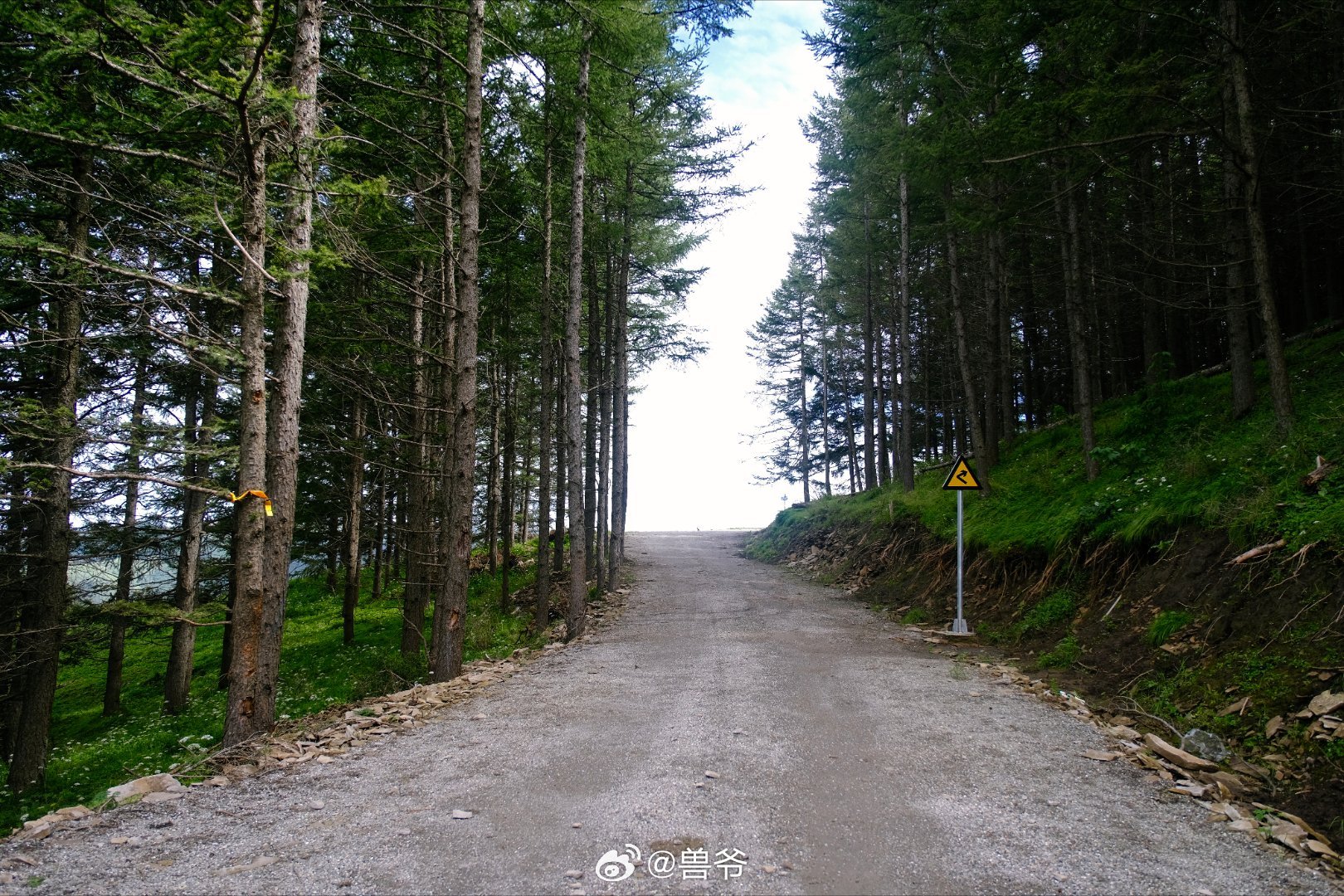 娃说徒步山中岁月真的好，我说是的，你也不看看谁在替你负重前行​​​