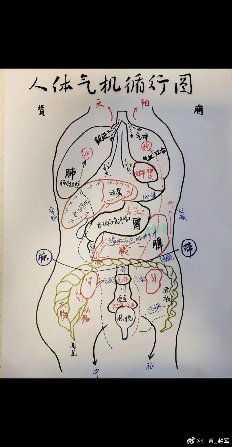 很多人养生只想着补气，总觉得气力不足，就是元气太少。实则不然：气，不在于数量多不