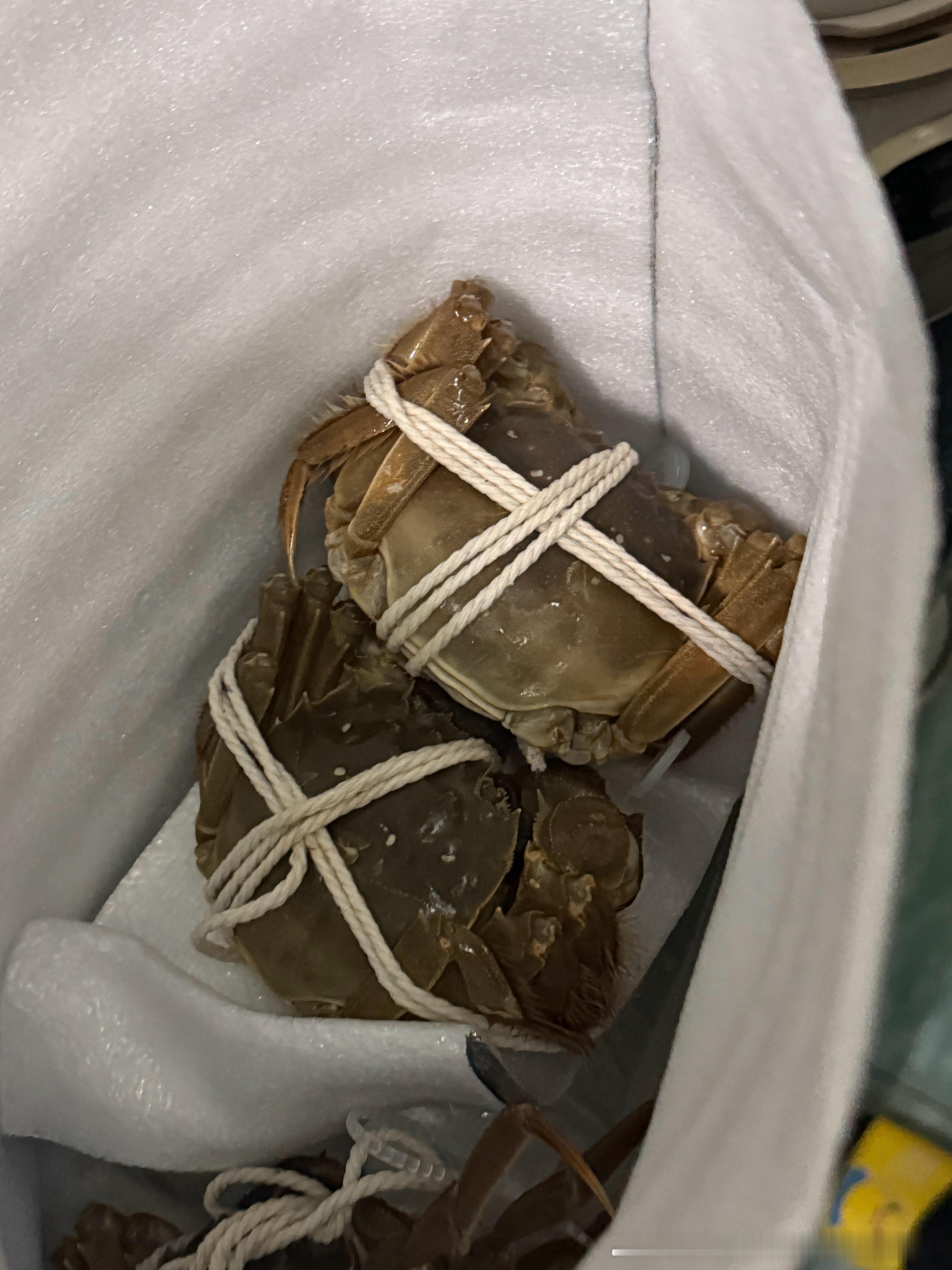 今年的大闸蟹就吃到这里吧。。。公的肥的吃完就结束了！