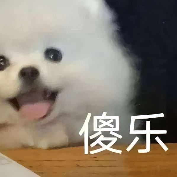 到底谁装修不吵架啊想象装修是一件浪漫的事，实际从硬装到软装处处意见相悖，盯施工熬