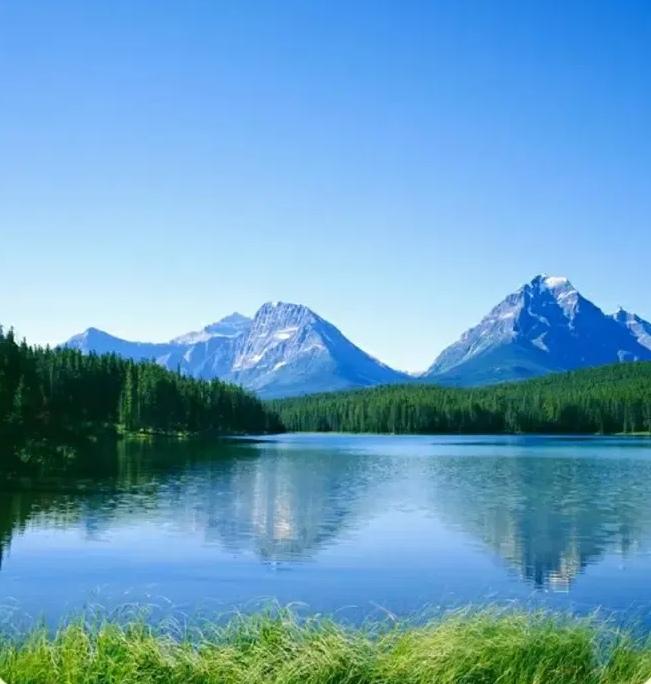 修性调气极简实践清单（3个5分钟日常动作）5分钟静心观息找一处安静的地方坐