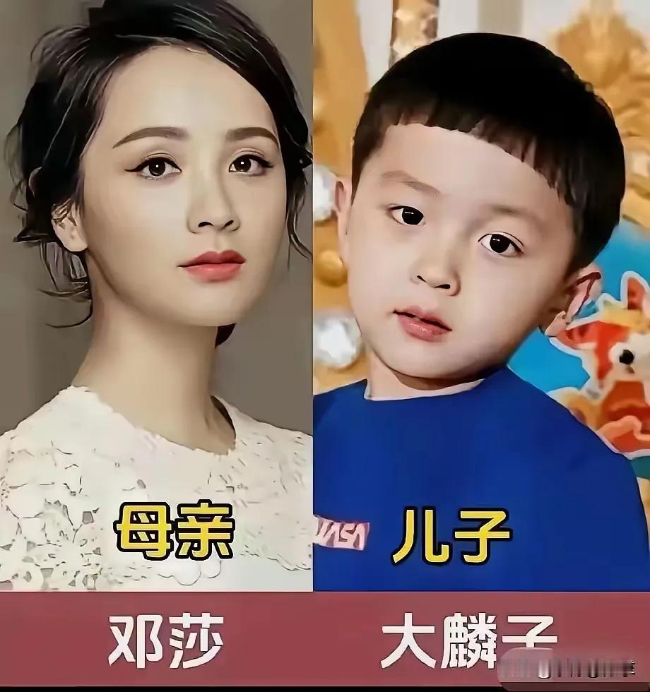 洪欣的儿子很帅气。何赛飞的儿子很帅气。陈红的儿子很帅气。孙俪的儿子很帅气。