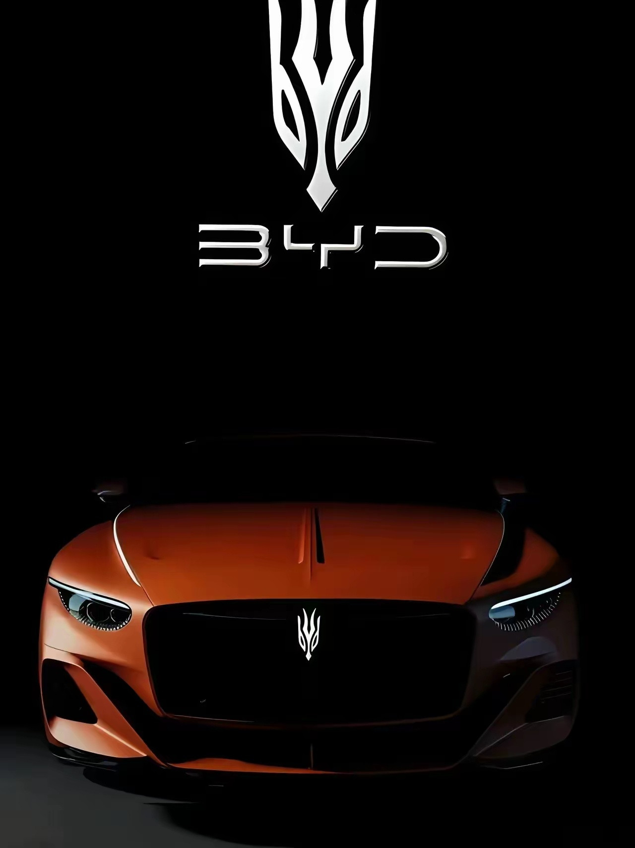 你就说，这个车标帅不帅？