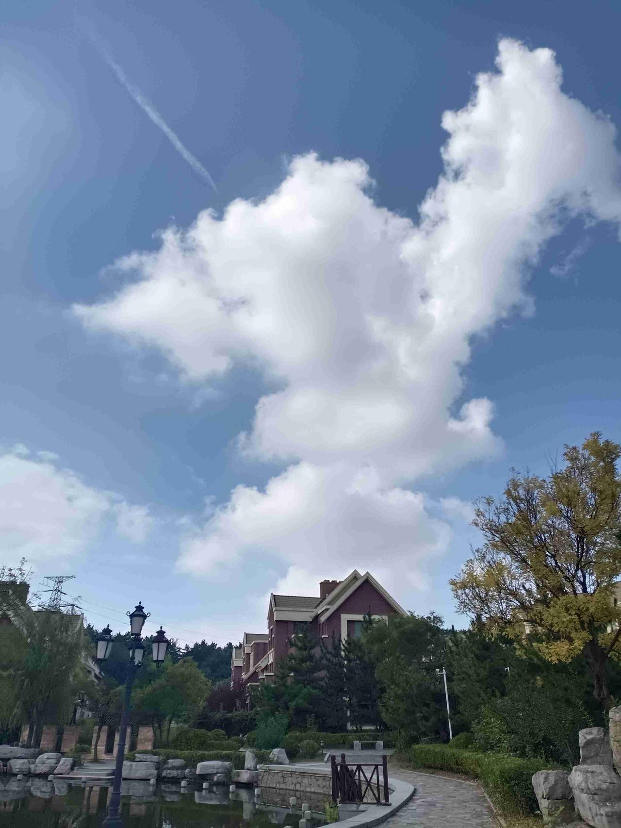 昨天从医院回来，我就赶紧炒了三个菜，准备妈妈饿了，就赶紧吃上，让妈妈更舒坦一些。