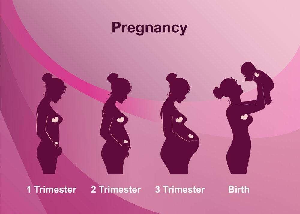 怀孕后多久才开始显肚子? 孕多少周腹围开始变大?
