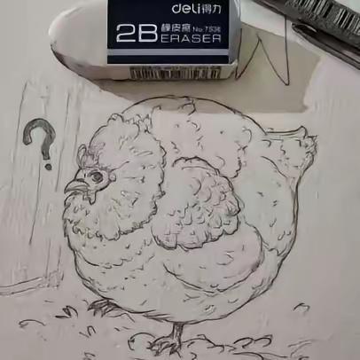 小女孩画自家鸡被判不合格的后续四川某地的一个小女孩，在美术课上画了一只鸡，圆