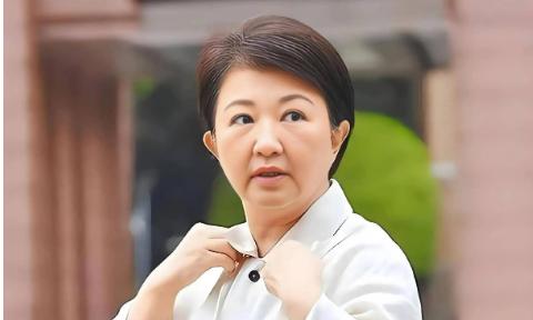 陈挥文这次是真没留面子。他直接点名卢秀燕——“你凭什么建议？既非主席也非立委，这