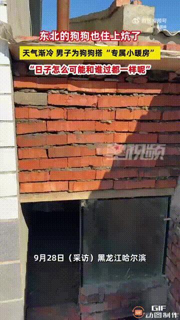 黑龙江哈尔滨因为天气开始变冷，一名男子养的小狗不愿意回到原来的狗窝，于是男子决定