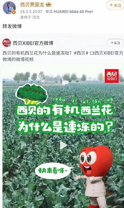 老贾总担心西贝死的不彻底！不停补刀子！刚被解封第一时间又絮絮叨叨他的西兰花了。