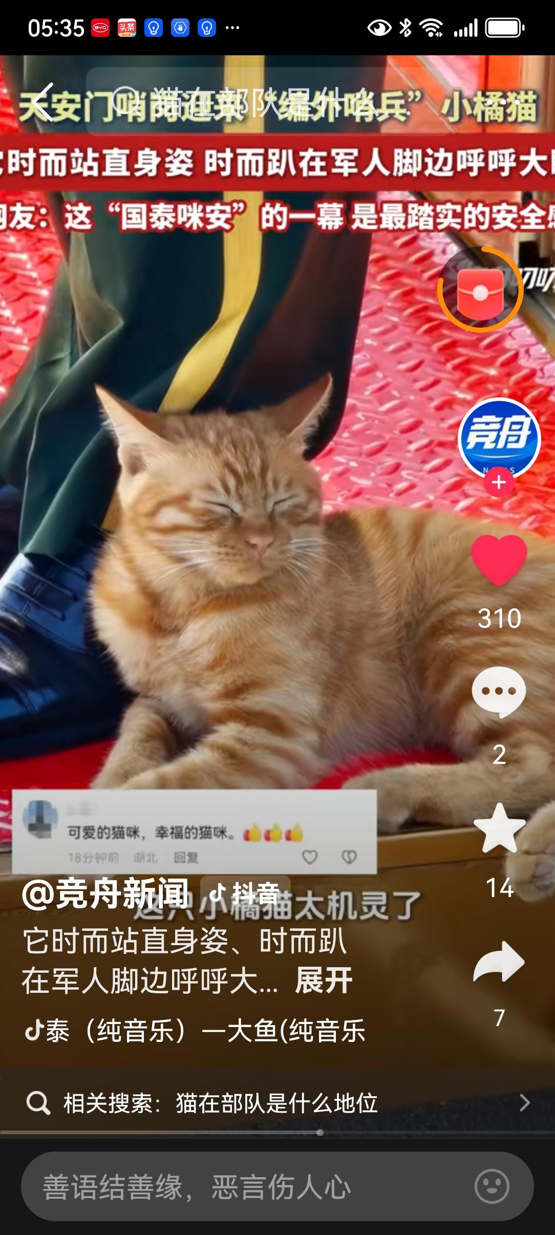 这暖心的一幕应该让台湾同胞，尤其是陈凤馨小姐和唐相龙先生好好看看。最近，据自媒