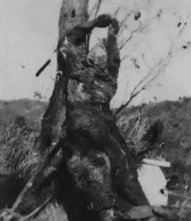 上甘岭战役志愿军45师烈士遗照一一照片由原志愿军45师前线指挥所秘书谢万丁捐献