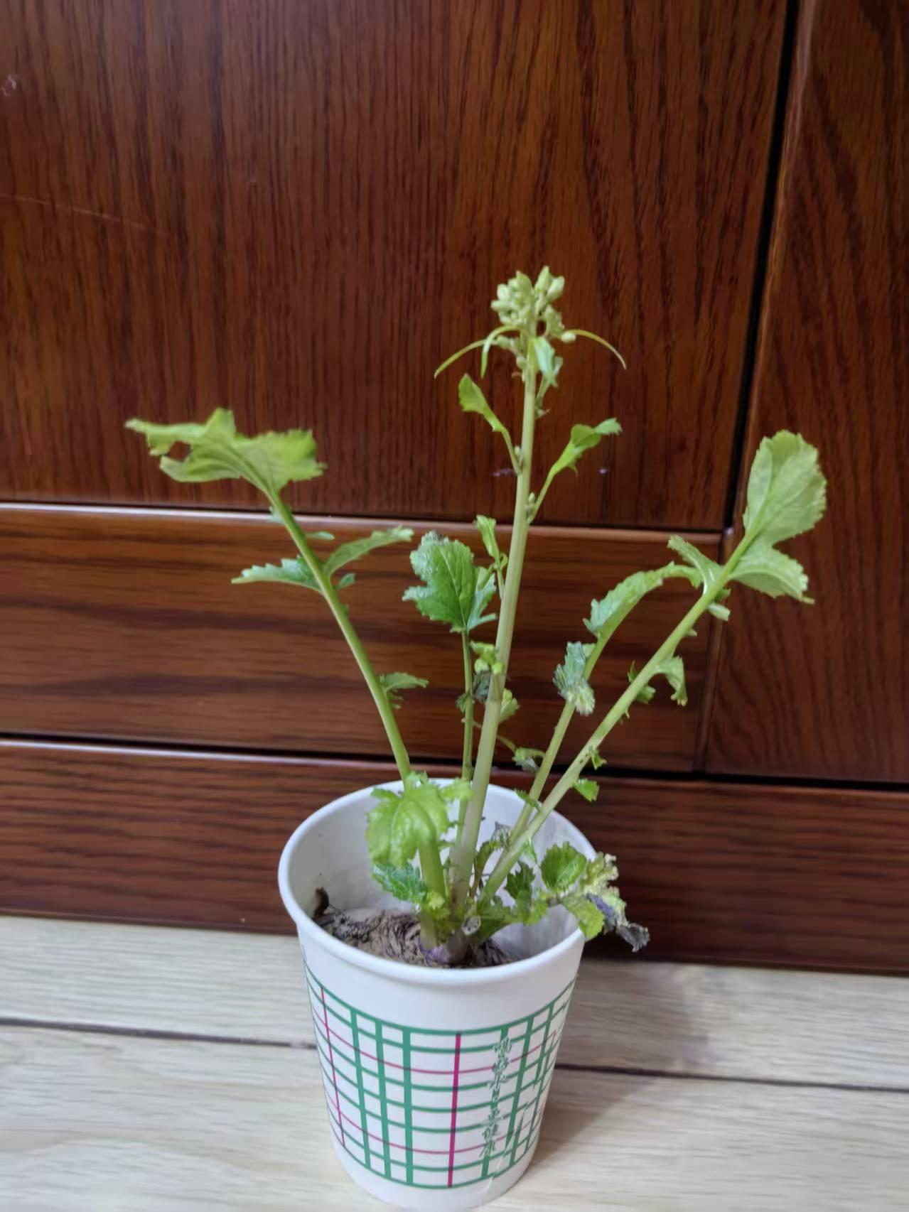 都说一定要存钱，可是存钱是为了什么呢？年轻人存钱，是为了生活的路走得更稳健，