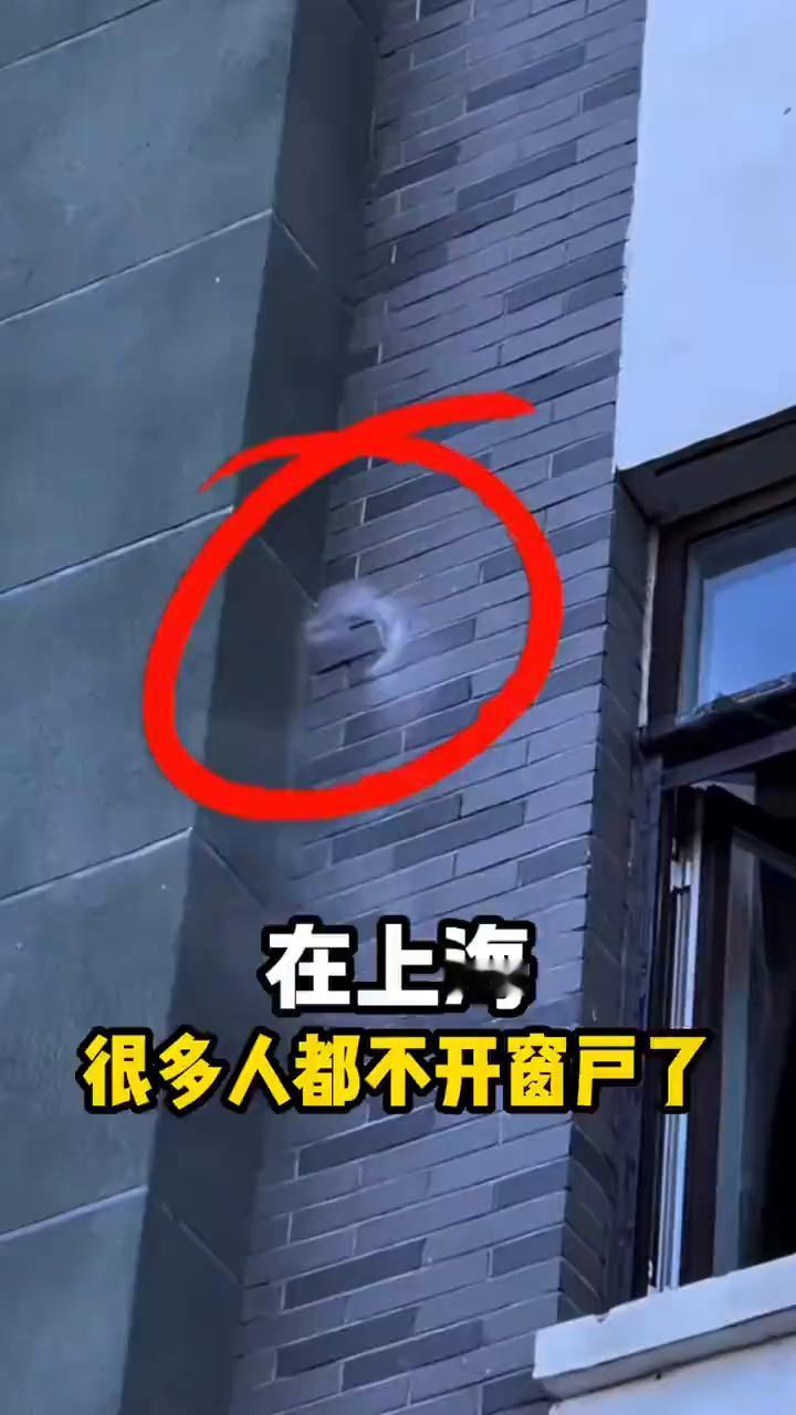 在上海很多人都不开窗户了，而是在自家墙上掏了个窟窿装上了这个小玩意儿。排风量50