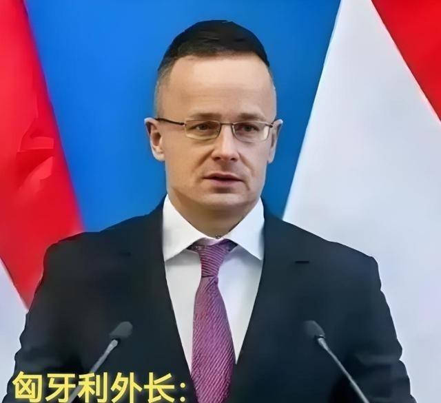 现在全欧洲最后悔的就是德国了吧！不是因为中国，也不是因为美国，而是因为匈牙利。