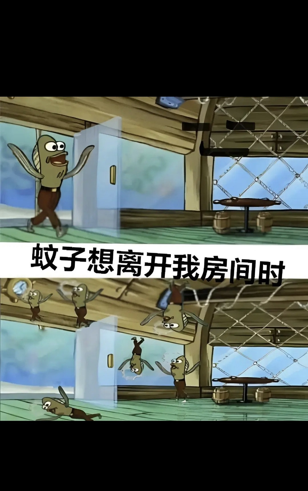 蚊子想离开我房间时