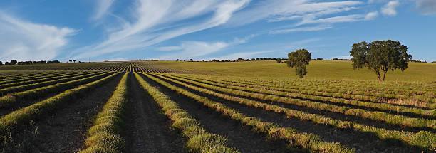 很励志的一句话：成年人最狠的一条生存法则：再难，也别轻易说出来。如果你现在还
