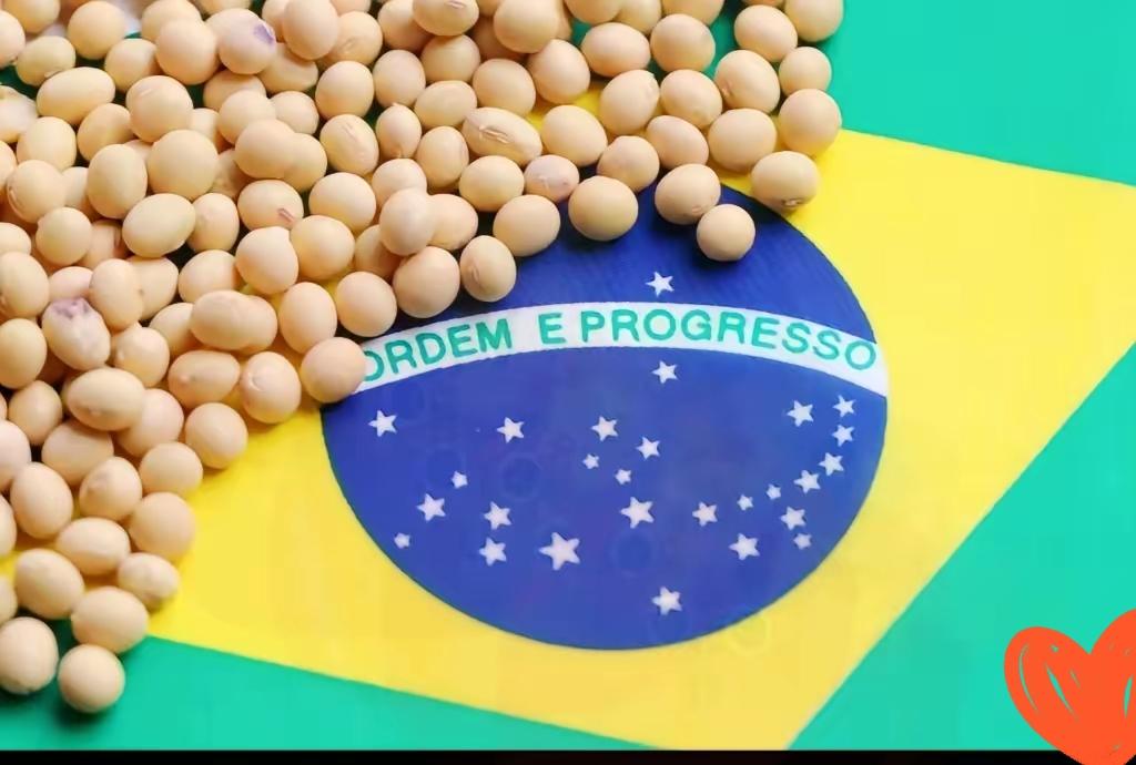 中国这边刚说要买18万吨美国大豆,巴西那边的大豆价格就跟着降了。10月28